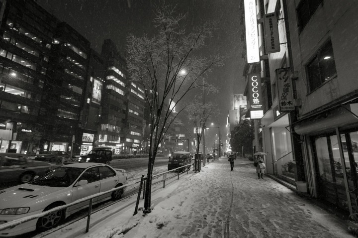 snowy_omotesando_3184